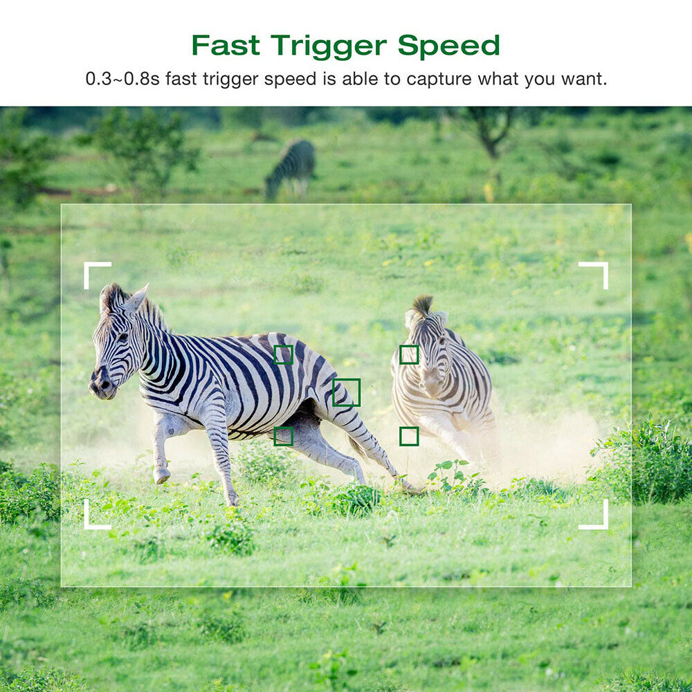 Falconsight™ Game Hunting Wild Trail Trap Camera Night Vision